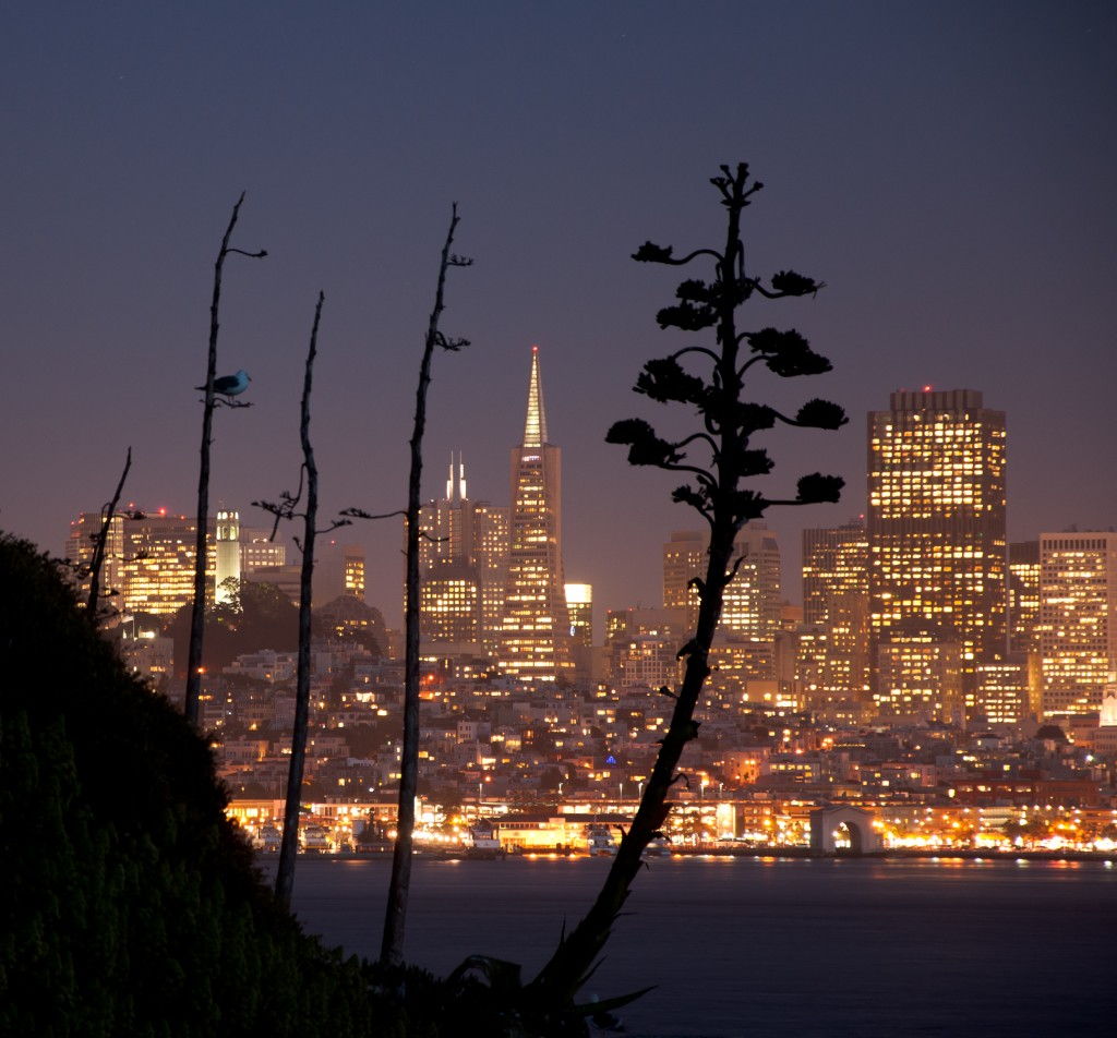 Gardens of Alcatraz #Alcatraz #Gardens #SanFrancisco Elizabeth Byers