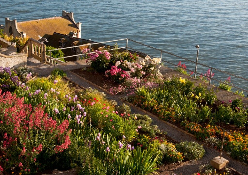 Gardens of Alcatraz #Alcatraz #Gardens #SanFrancisco Elizabeth Byers