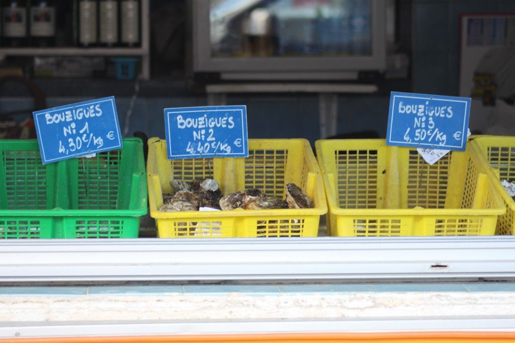 Oysters near Sete #Sete #Languedoc