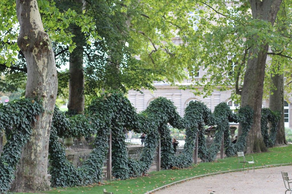 Paris Gardens #Paris @KristaBender #PastryinParis