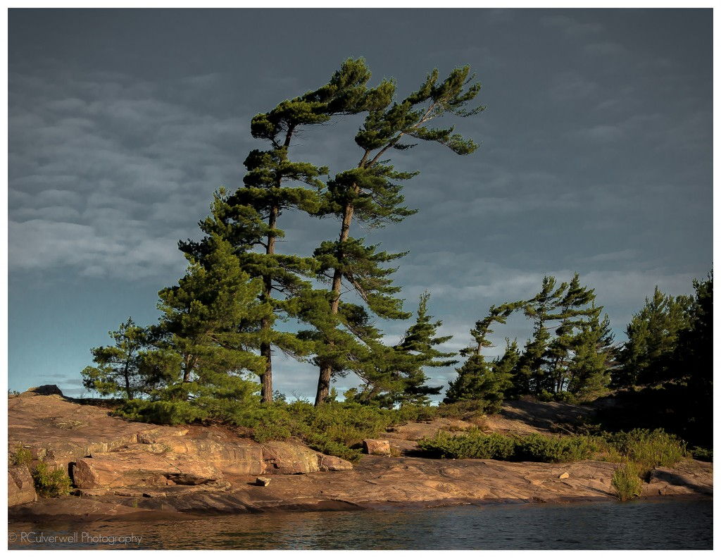 Two Trees Wall #ParrySound Richard Culverwell Photography