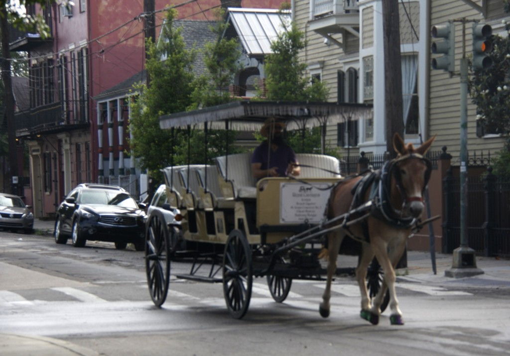 French quarter #NOLA #NewOrleans