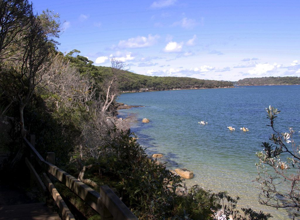 Manley views #UrbanWalks #Sydney #Australia