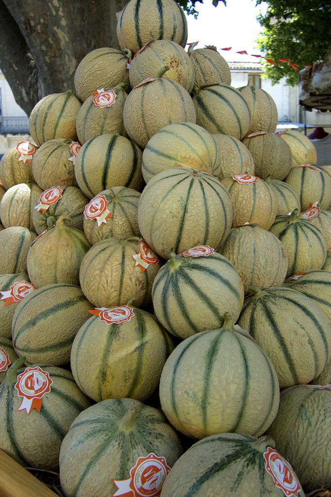 Melons of Cavaillon #Luberon #TastesofProvence