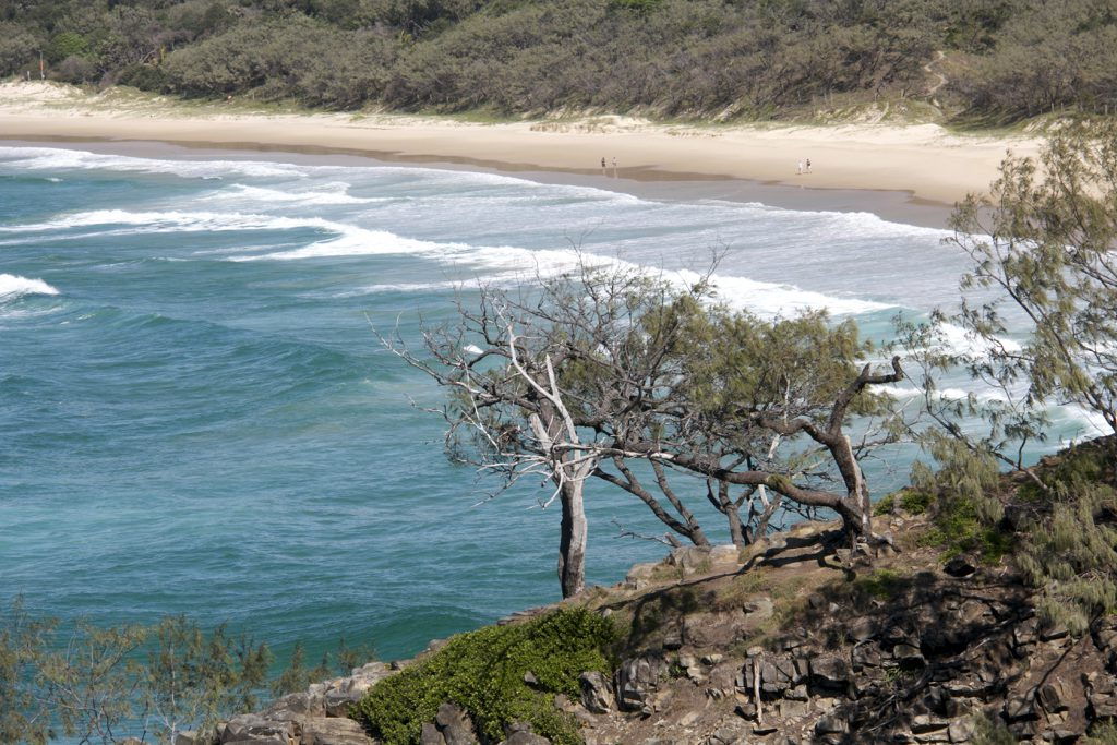 Alexandra Bay Views