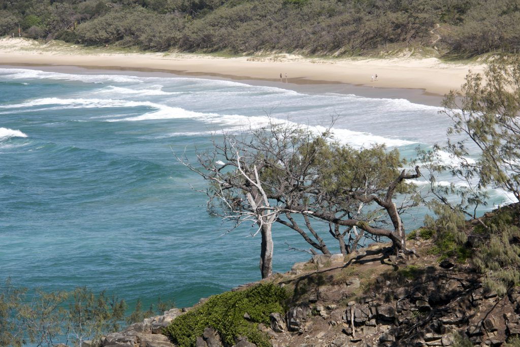 Alexandra Bay Views